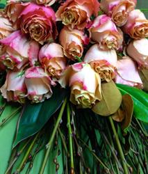 A Bay Junction Florists