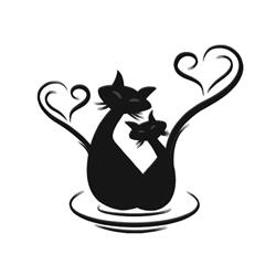 A Cats Holiday Home