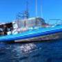 Abyss Purpose Built Scuba Diving Boat.