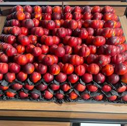 All About Fruit New Farm