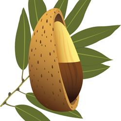 Almondco Australia Ltd