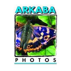 Arkaba 1 Hour Photos