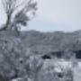 Attunga Alpine Lodge in Winter