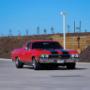 American Car Windscreen Specialists