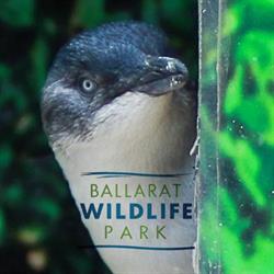 Ballarat Wildlife & Reptile Park