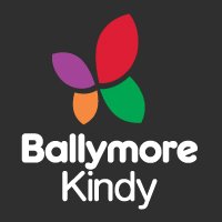 Ballymore Kindergarten & Preschool Association Inc