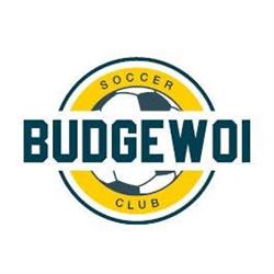 Budgewoi Soccer Club Ltd