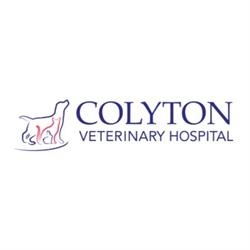 Colyton Veterinary Hospital