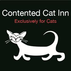 Contented Cat Inn