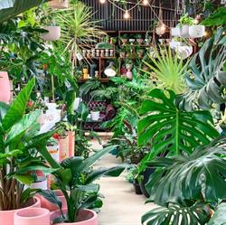 Creation Landscape Supplies