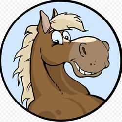 Currumbin District Horse Club
