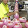 Custom Chemicals International