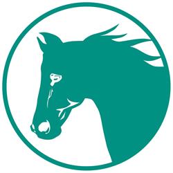 Dalson Park Indoor Equestrian Centre