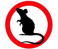 Dandenong Pest Control Pty Ltd