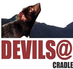 Devil Four Wheel Drive Tours