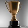 Uploaded by visitor on 5/9/2016 - Trophy Store
