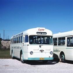 Eggins Comfort Coaches