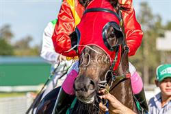 Emerald Jockey Club