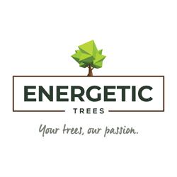 Energetic Tree Lopping