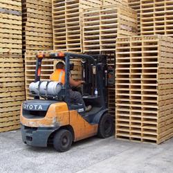 Export Pallets