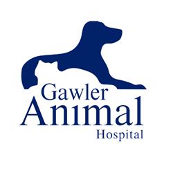 Gawler South Small Animal Hospital