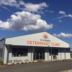 Gilgandra Veterinary Clinic
