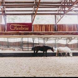 Glenbrae Equestrian Centre