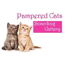 Pampered cats boarding cattery