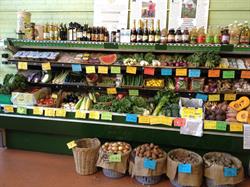 Green Goes The Grocer