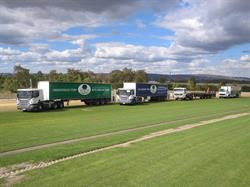 Greenfields Turf Farm