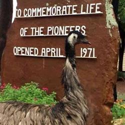 Griffith Pioneer Park Museum