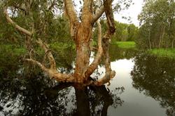 Gundjehmi Aboriginal Corporation