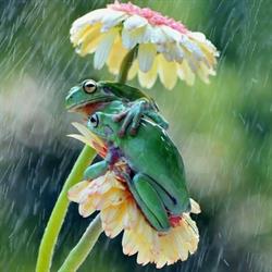 Henley Grange Naturopathic Clinic