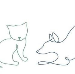Holland Park & Carina Veterinary Clinics (Holland