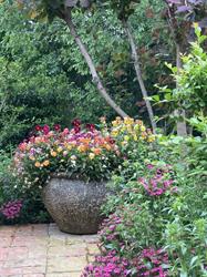 Howlong Nursery Pty Ltd