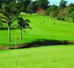 Jamberoo Golf