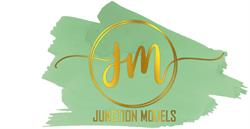 Junction Models