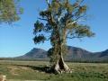 JUST CRUISIN 3 DAY FLINDERS RANGES TOUR