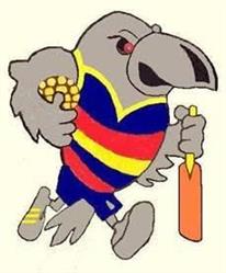 Kawana Indoor Sports