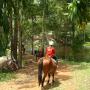 BEAUTIFUL DAILY TRAIL RIDES