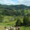 TRAIL RIDES IN THE BEAUTIFUL BEENAAM VALLEY