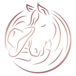 Kiah Park Horse Riding Camp