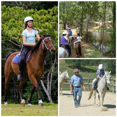Horse-riding-fun