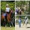 Horse-riding-fun
