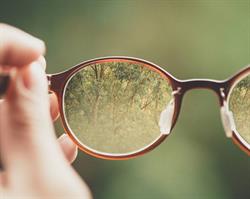 Kingsway Optical