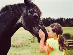 Kurnell Boarding Stables & Riding School