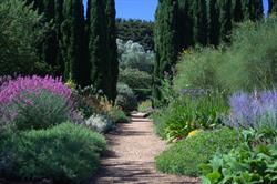 Lambley Nursery