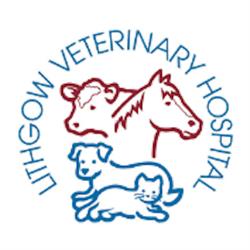 Lithgow Veterinary Hospital
