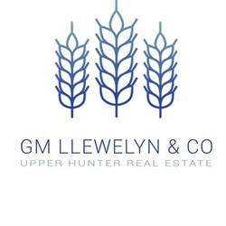 Llewelyn & Co , Gm
