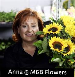 M&b Flowers Pty Ltd (Two Wells Sa)